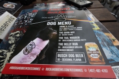 Rock-Brew-09